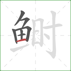 鲥的笔顺第7画：横