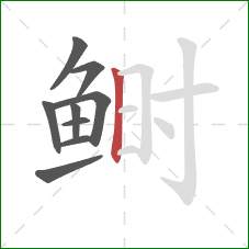 鲥的笔顺第9画：竖