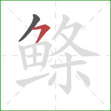 鲦的笔顺第2画：横撇