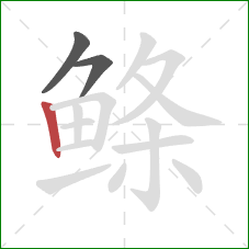 鲦的笔顺第3画：竖