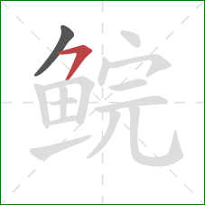鲩的笔顺第2画：横撇