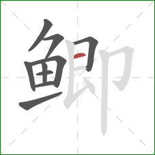 鲫的笔顺第10画:横 鲫的笔顺第10画:横