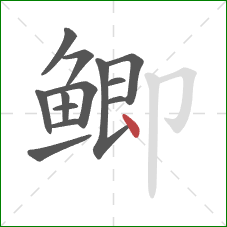 鲫的笔顺第13画:点 鲫的笔顺第13画:点