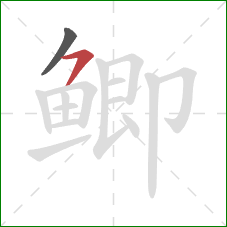 鲫的笔顺第2画:横撇 鲫的笔顺第2画:横撇