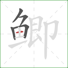 鲫的笔顺第5画:横 鲫的笔顺第5画:横