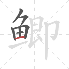 鲫的笔顺第7画:横 鲫的笔顺第7画:横