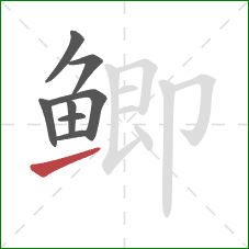 鲫的笔顺第8画:提 鲫的笔顺第8画:提