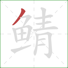 鲭的笔顺第1画:撇 鲭的笔顺第1画:撇