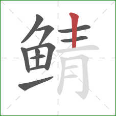 鲭的笔顺第11画:竖 鲭的笔顺第11画:竖