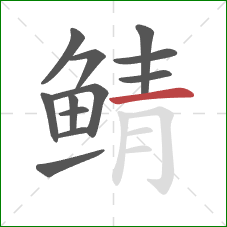 鲭的笔顺第12画:横 鲭的笔顺第12画:横