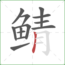 鲭的笔顺第13画:竖 鲭的笔顺第13画:竖