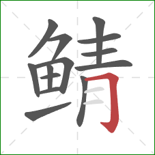 鲭的笔顺第14画:横折钩 鲭的笔顺第14画:横折钩