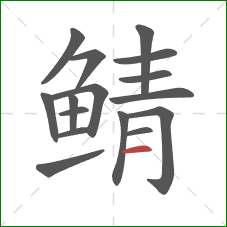 鲭的笔顺第16画:横 鲭的笔顺第16画:横