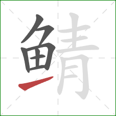 鲭的笔顺第8画:提 鲭的笔顺第8画:提