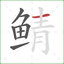 鲭的笔顺第9画:横 鲭的笔顺第9画:横