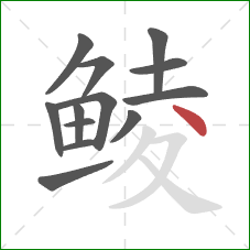 鲮的笔顺第13画：点
