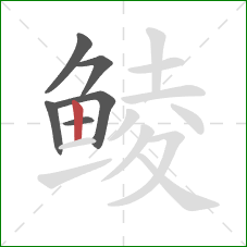 鲮的笔顺第6画：竖