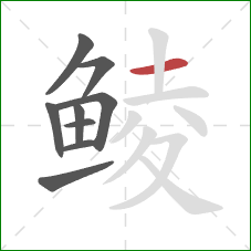 鲮的笔顺第9画：横