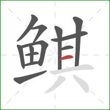 鲯的笔顺第13画：横