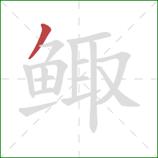 鲰的笔顺第1画:撇 鲰的笔顺第1画:撇