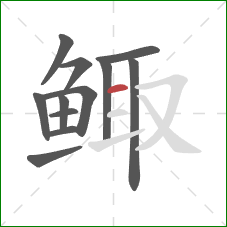 鲰的笔顺第12画:横 鲰的笔顺第12画:横