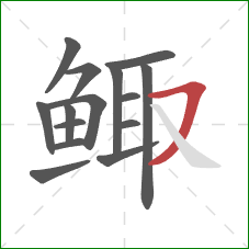 鲰的笔顺第15画:横撇 鲰的笔顺第15画:横撇