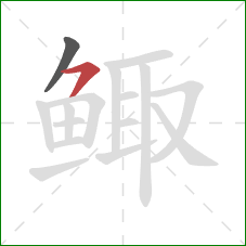 鲰的笔顺第2画:横撇 鲰的笔顺第2画:横撇