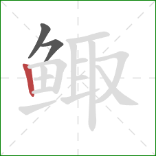 鲰的笔顺第3画:竖 鲰的笔顺第3画:竖