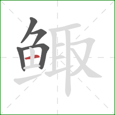 鲰的笔顺第5画:横 鲰的笔顺第5画:横