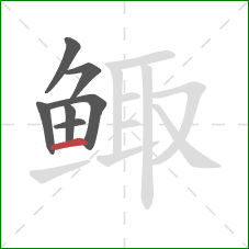 鲰的笔顺第7画:横 鲰的笔顺第7画:横