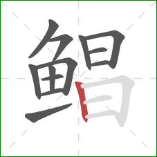 鲳的笔顺第13画:竖 鲳的笔顺第13画:竖