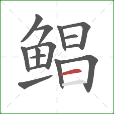 鲳的笔顺第15画:横 鲳的笔顺第15画:横