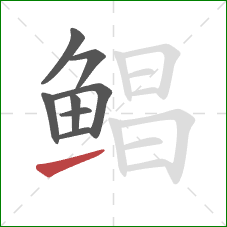 鲳的笔顺第8画:提 鲳的笔顺第8画:提