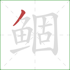 鲴的笔顺第1画:撇 鲴的笔顺第1画:撇