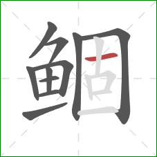 鲴的笔顺第11画:横 鲴的笔顺第11画:横