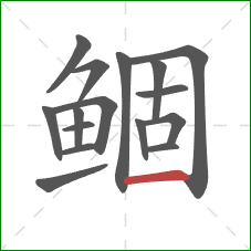 鲴的笔顺第16画:横 鲴的笔顺第16画:横