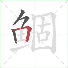 鲴的笔顺第4画:横折 鲴的笔顺第4画:横折