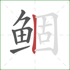 鲴的笔顺第9画:竖 鲴的笔顺第9画:竖