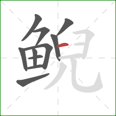 鲵的笔顺第11画:横 鲵的笔顺第11画:横