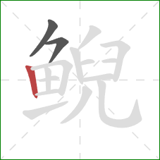 鲵的笔顺第3画:竖 鲵的笔顺第3画:竖