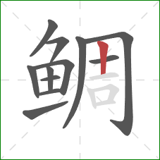 鲷的笔顺第12画：竖