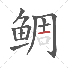 鲷的笔顺第13画：横