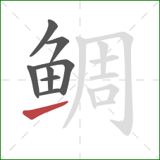 鲷的笔顺第8画：提