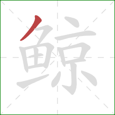 鲸的笔顺第1画：撇