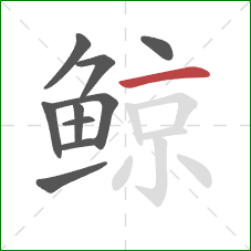 鲸的笔顺第10画：横