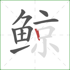 鲸的笔顺第11画：竖