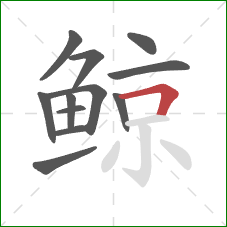 鲸的笔顺第12画：横折