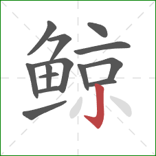鲸的笔顺第14画：竖钩