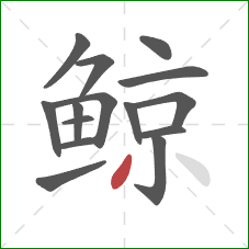 鲸的笔顺第15画：撇