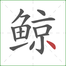 鲸的笔顺第16画：点